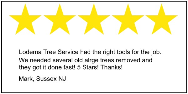 Sussex tree service 5 star review