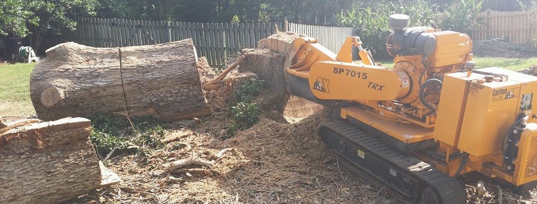stump removal New Jersey