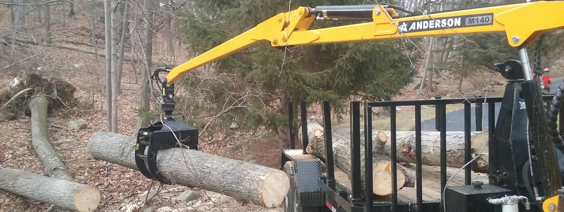 tree service service areas in New Jersey