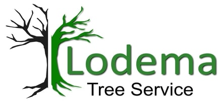 lodema tree service logo