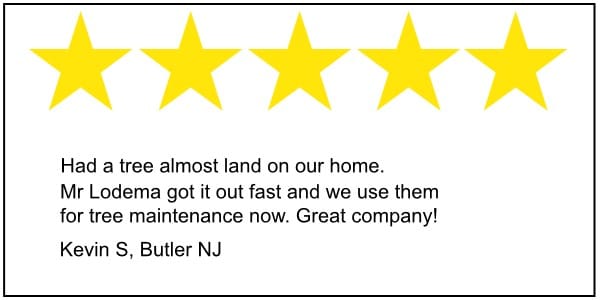 Butler tree service 5 star review