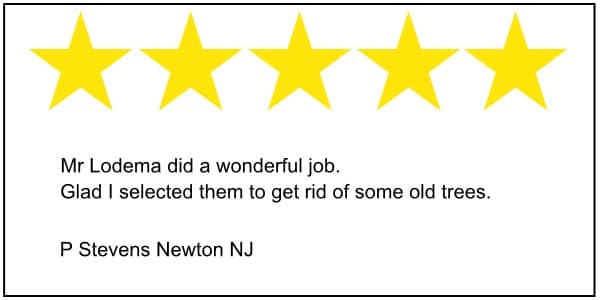 Newton tree service 5 star review