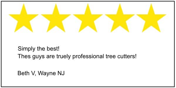 Wayne tree service 5 star review