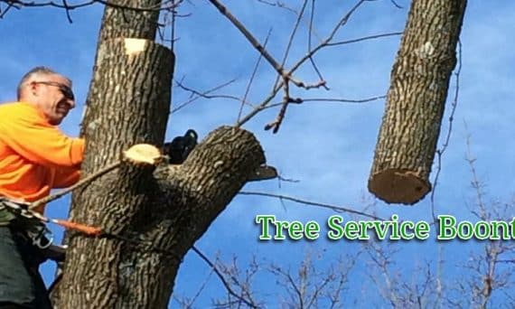 tree removal Boontown NJ